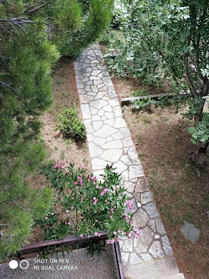 Danica Holiday House Цезарица Екстериор снимка